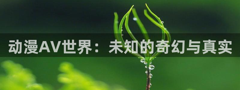行业资讯